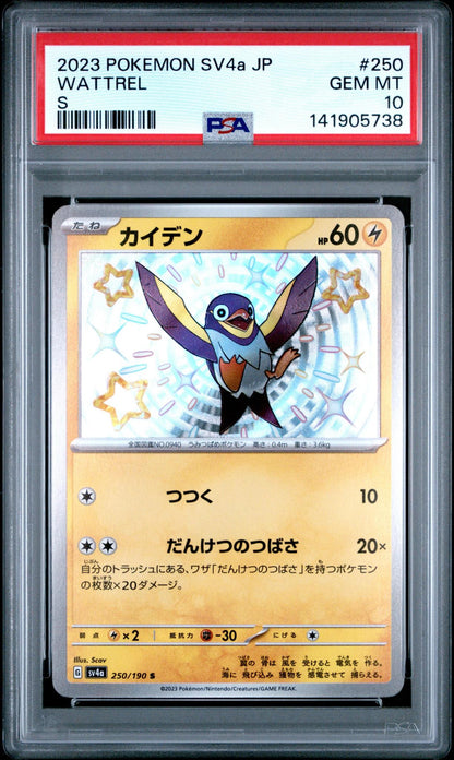 2023 Pokemon SV4a JP Wattrel S PSA 10