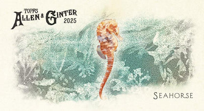 2025 Topps Allen & Ginter Baseball Hobby Box
