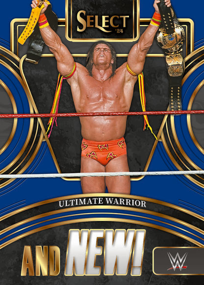 2024 Panini Select WWE Hobby Box
